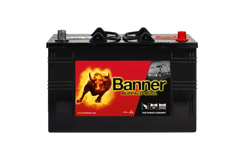 Starter Battery (010610110101)