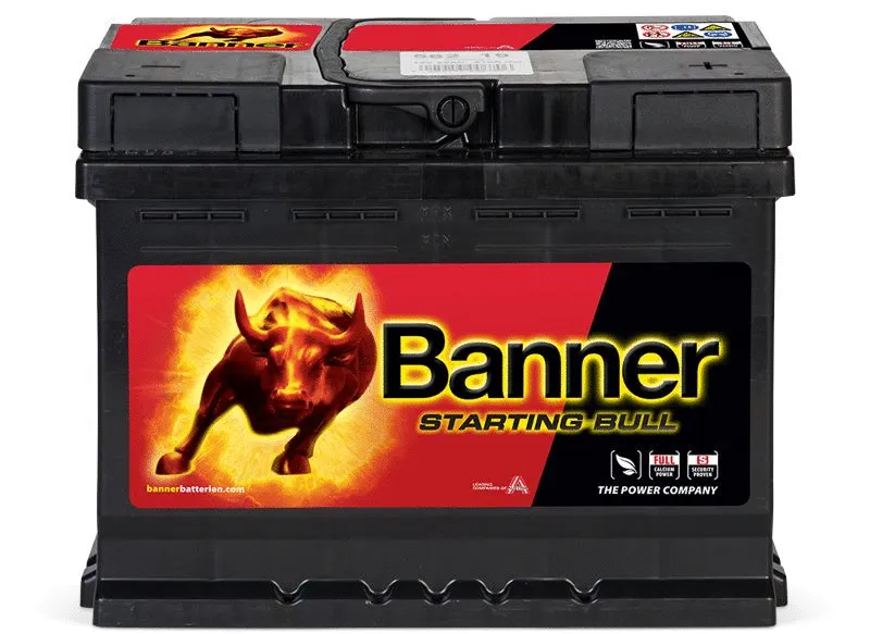 Starter Battery (010562190101)