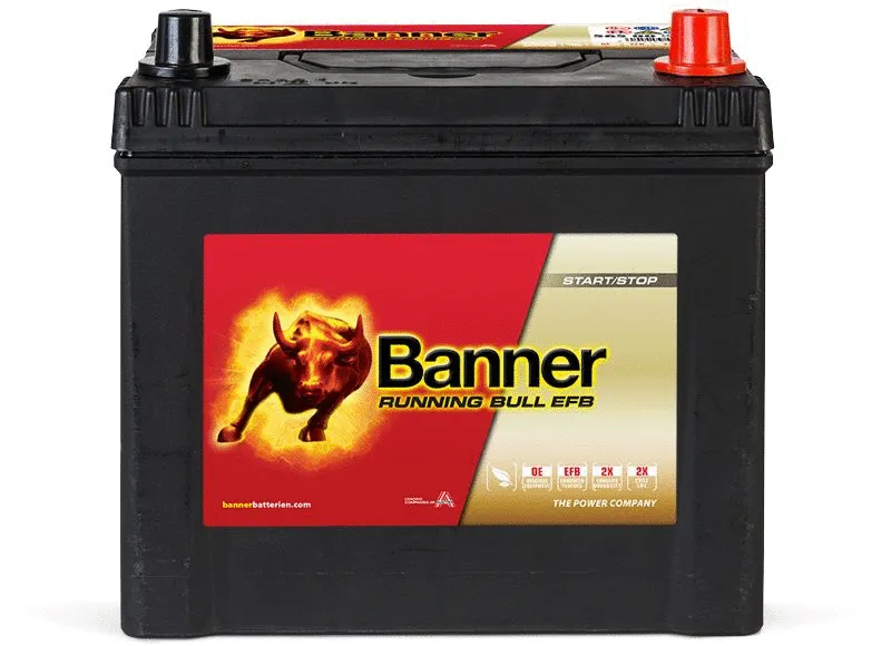 Starter Battery (012565000101)