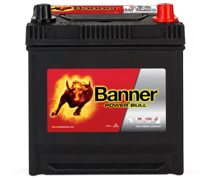 Starter Battery (013550410101)
