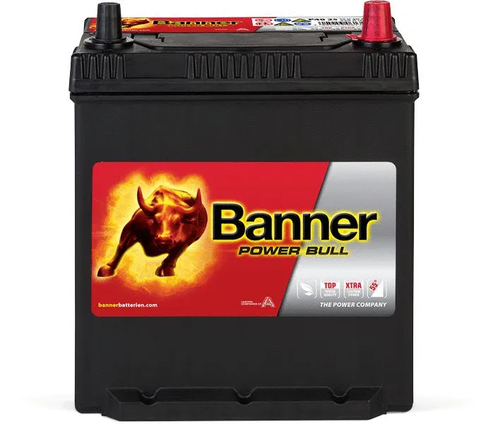 Starter Battery (013540250101)