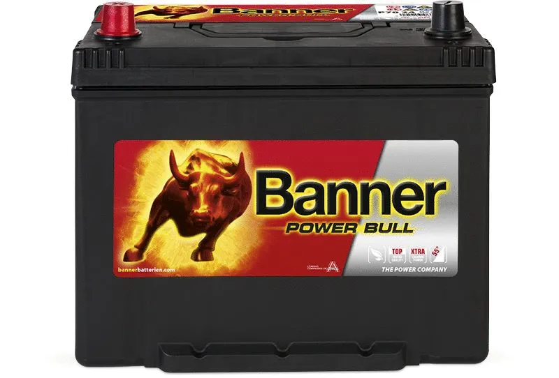 Starter Battery (013570240101)