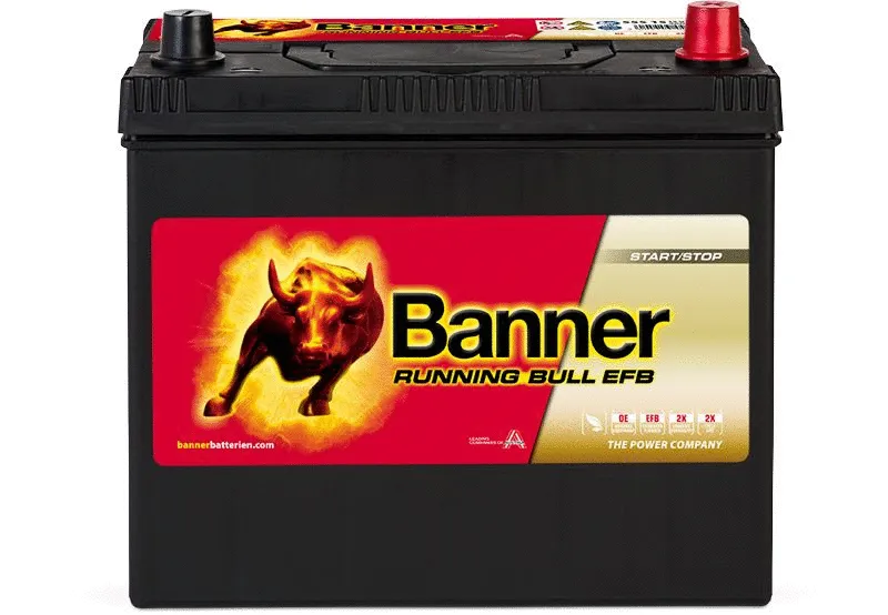 Starter Battery (012555150101)