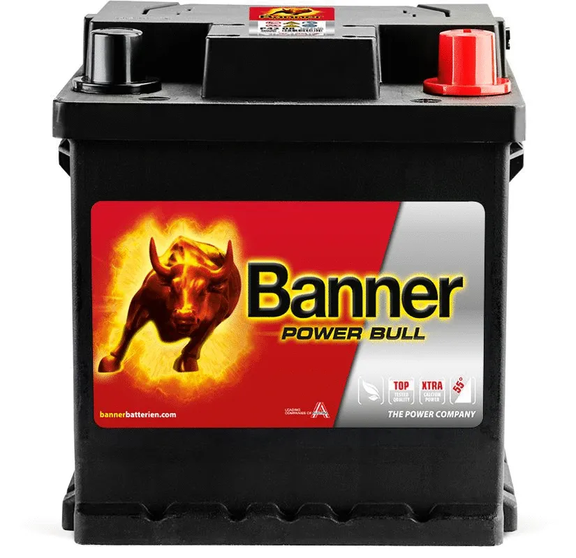 Starter Battery (013542080101)