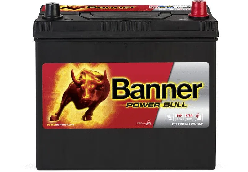 Starter Battery (013545230101)