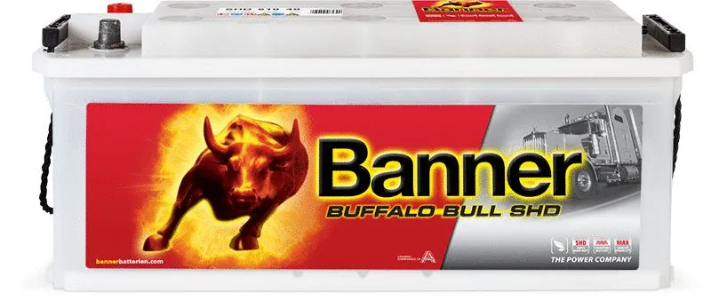 Starter Battery (018610400101)