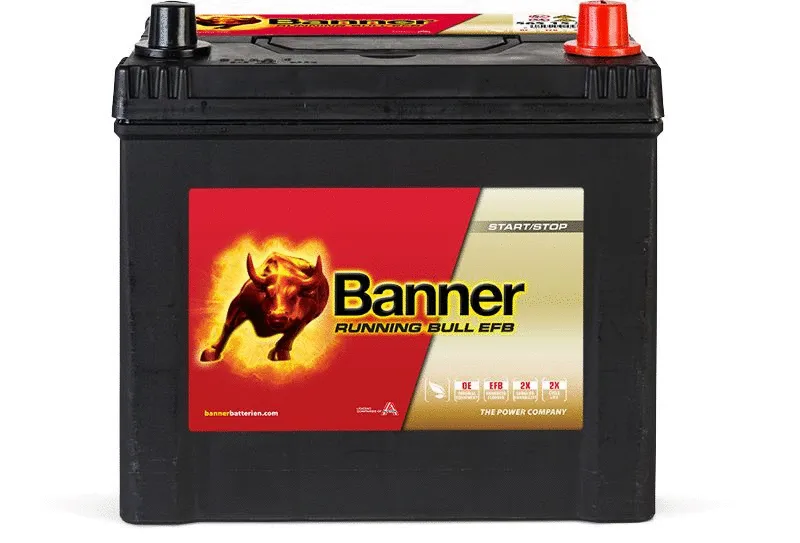 Starter Battery (012565150101)