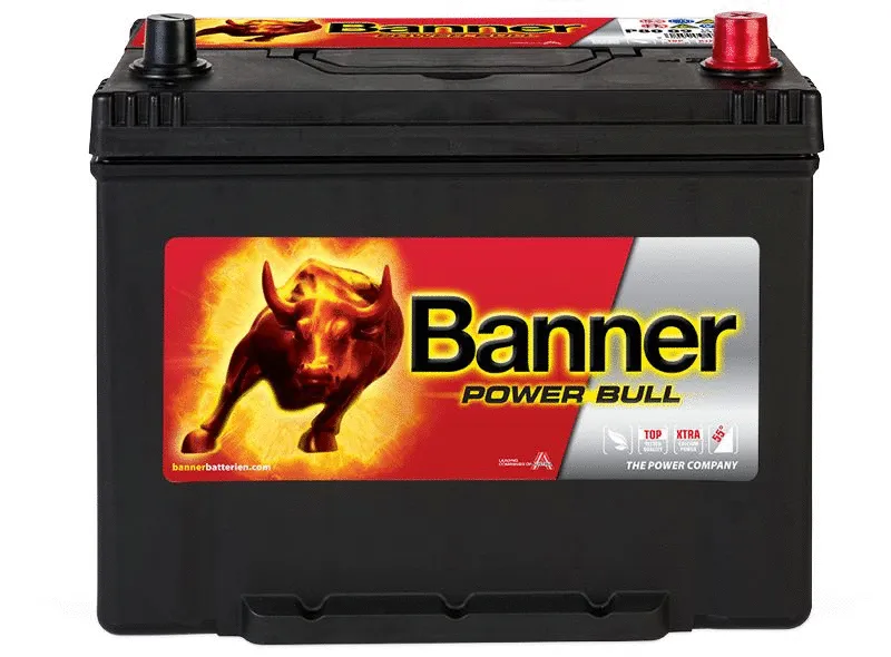 Starter Battery (013580090101)