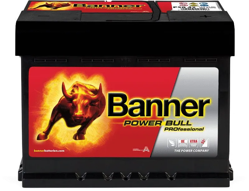 Starter Battery (013550420101)