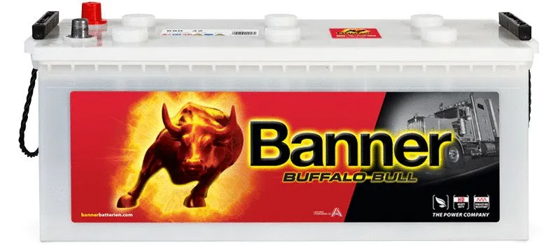 Starter Battery (010680320101)