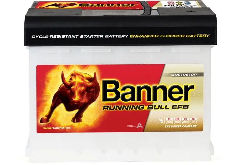 Starter Battery (012560110101)