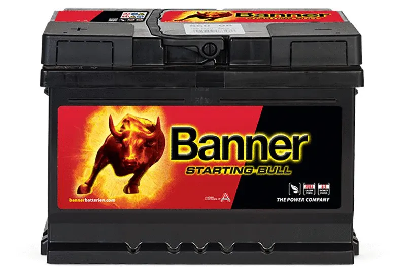 Starter Battery (010560080101)