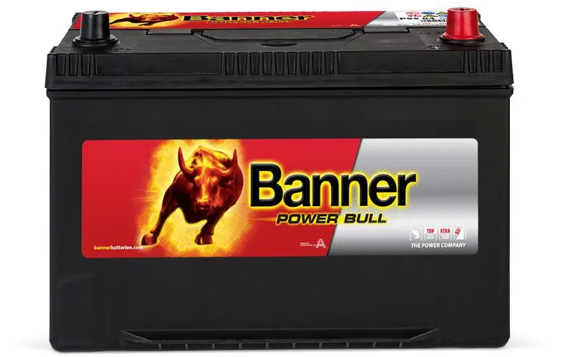 Starter Battery (013595040101)