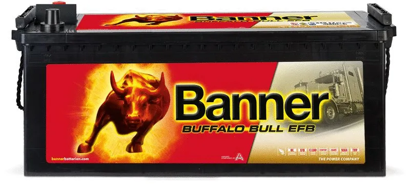 Starter Battery (012650170101)