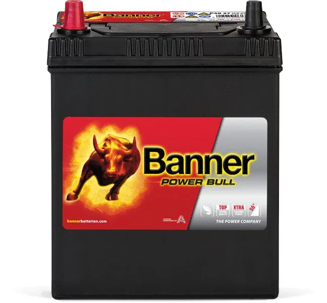 Starter Battery (013540270101)