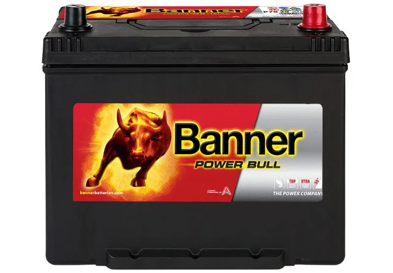 Starter Battery (013570290101)