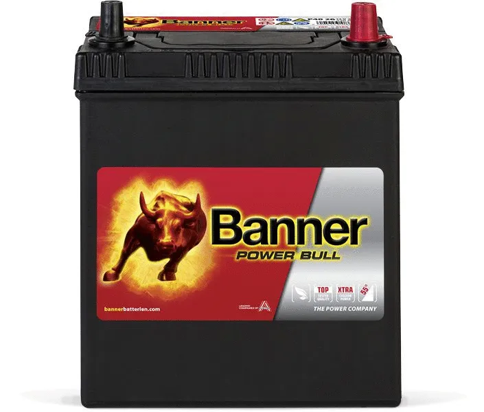 Starter Battery (013540260101)