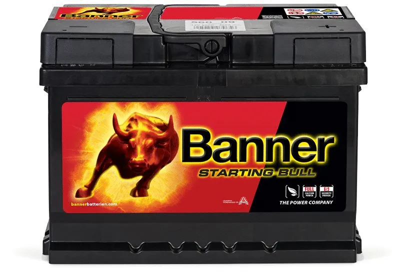 Starter Battery (010560090101)