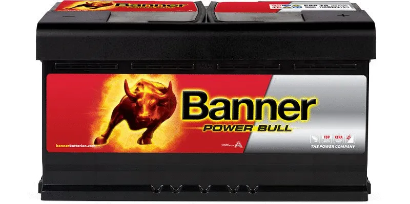 Starter Battery (013588200101)