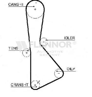 Timing Belt (1016)