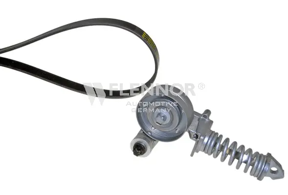 V-Ribbed Belt Set (F905PK1368)