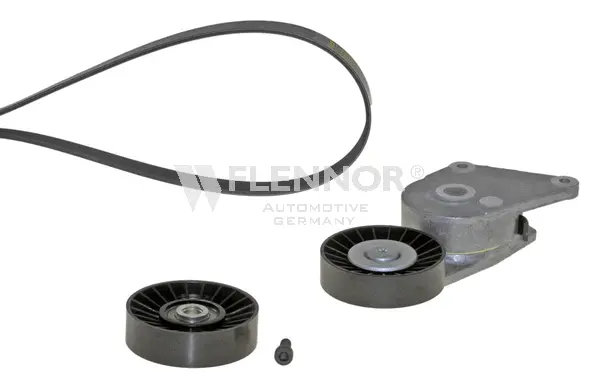 V-Ribbed Belt Set (F916PK1660)