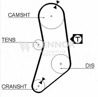 Timing Belt (4966)
