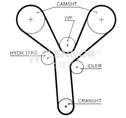 Timing Belt