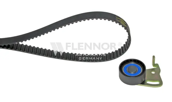 Timing Belt Kit (F904917)