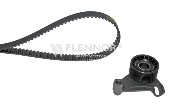 Timing Belt Kit (F904967)