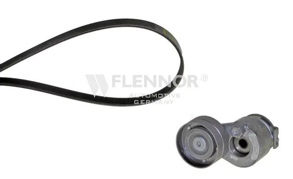 V-Ribbed Belt Set (F907PK1125)