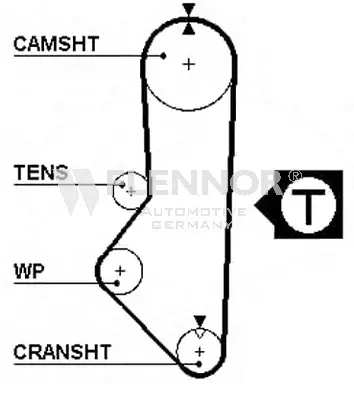 Timing Belt (4956)