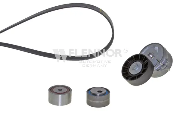 V-Ribbed Belt Set (F926PK1453)