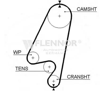 Timing Belt (4256V)