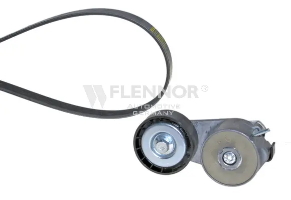 V-Ribbed Belt Set (F905PK1148)