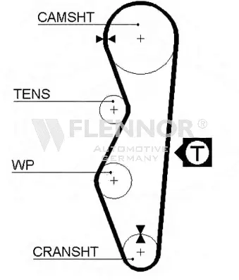 Timing Belt (4013)