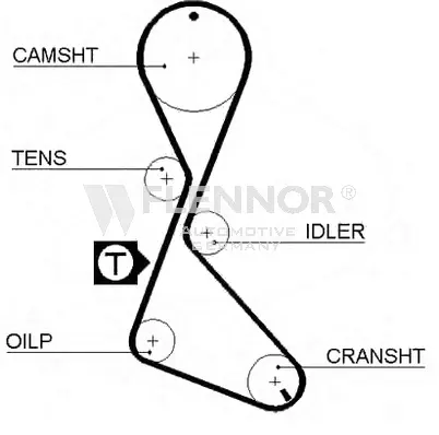 Timing Belt (4022)