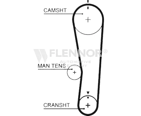 Timing Belt
