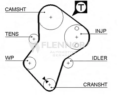 Timing Belt (4307V)