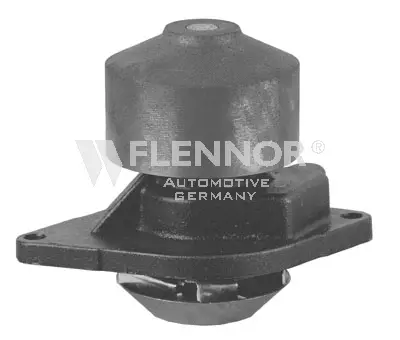 Water Pump, engine cooling (FWP70257)