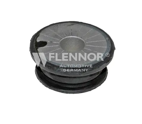 Bushing, axle beam (FL4896-J)