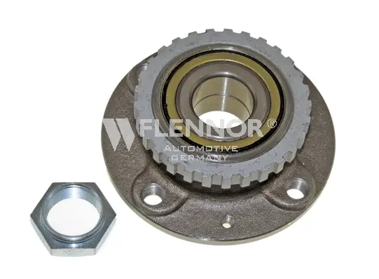 Wheel Bearing Kit (FR691234)