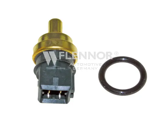 Sensor, coolant temperature (FSE51168)