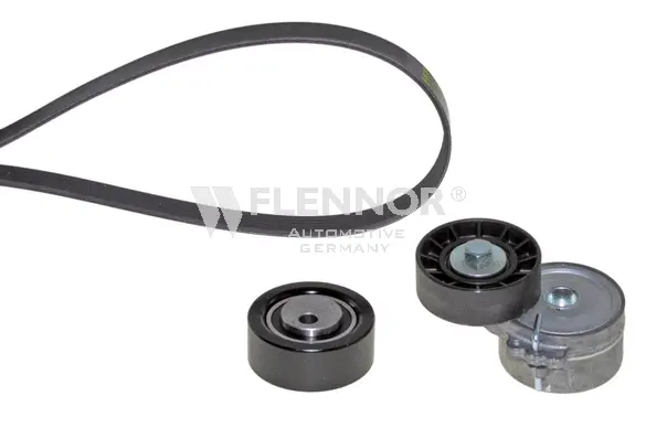V-Ribbed Belt Set (F946PK1753)