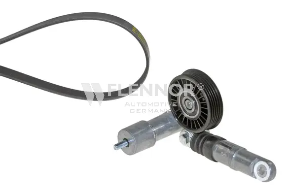 V-Ribbed Belt Set (F905PK1435)