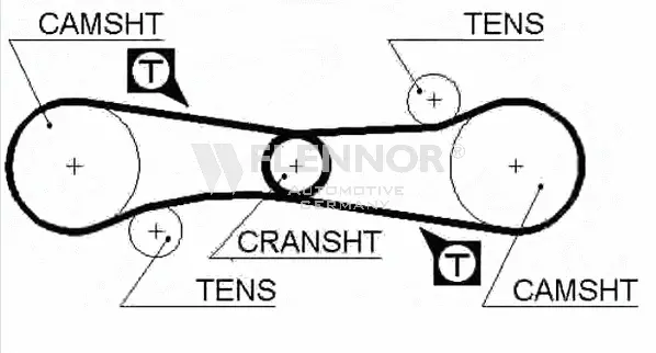 Timing Belt (4075)