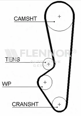 Timing Belt (4983V)