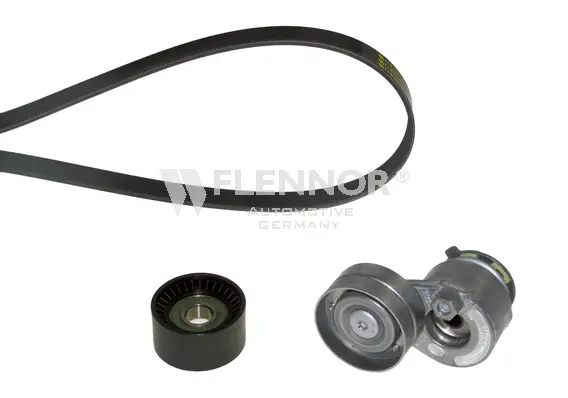 V-Ribbed Belt Set (F926PK1795)