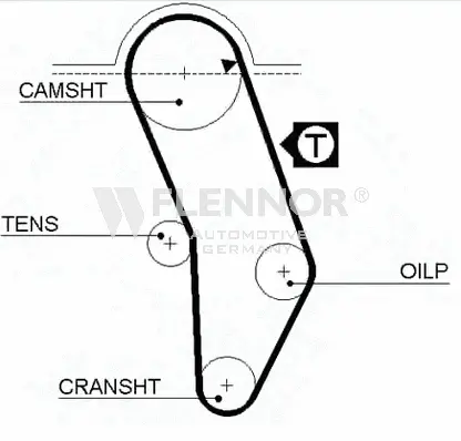 Timing Belt (4905)