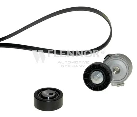 V-Ribbed Belt Set (F906PK1735)